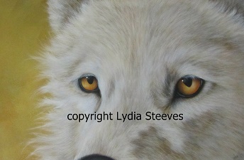 White Wolf Acrylic e-Packet